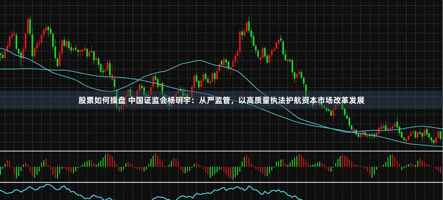 股票如何操盘 中国证监会杨明宇：从严监管，以高质量执法护航资本市场改革发展