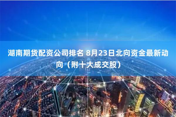 湖南期货配资公司排名 8月23日北向资金最新动向（附十大成交股）